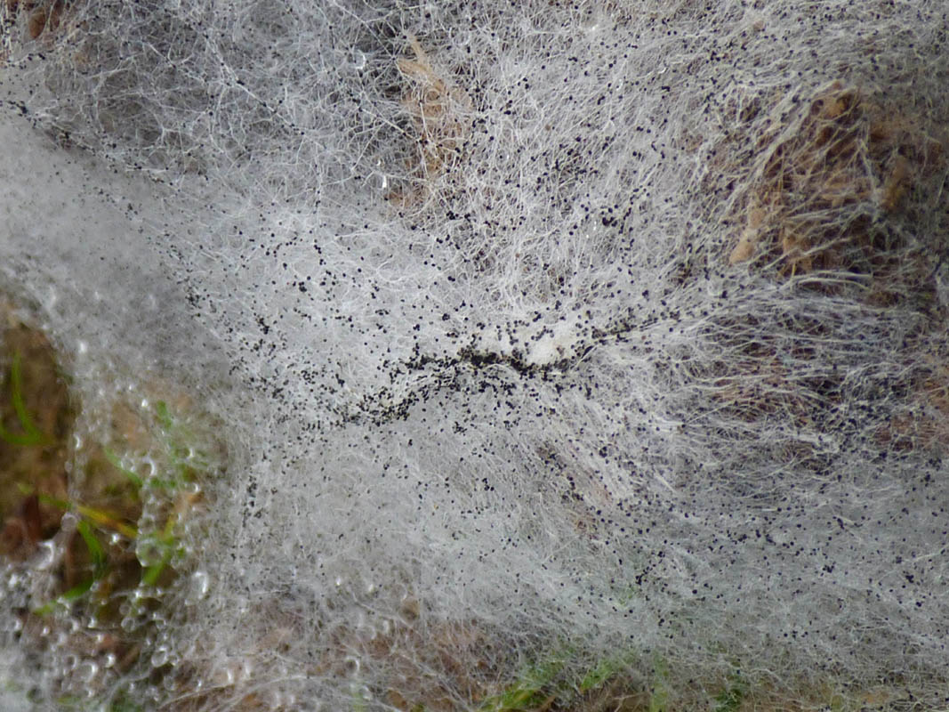 Joli voyage incongru